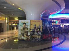 -奥斯卡升龙国际影城(RealD Cinema)