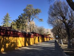 -罗布林卡