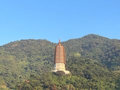 -深圳仙湖植物园