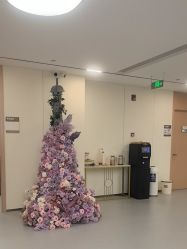 -上海伊莱美医疗美容医院