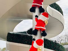 -深圳湾万象城(南山店)