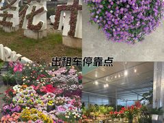 -三圣花乡旅游区