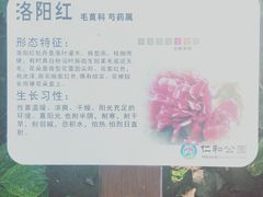 -仁和公园(顺义区)