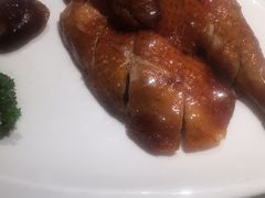 -南枝记