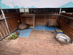 -廊坊固安福朋喜来登酒店