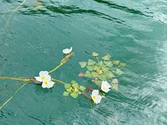 -丽江泸沽湖景区