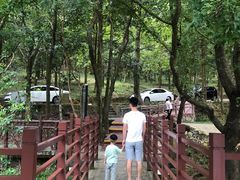 -广州市石门国家森林公园