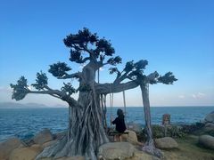 -海南分界洲岛旅游区