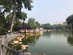 -莲湖公园
