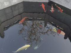 -西安市广仁寺