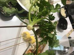 -屋头串串(新街里店)