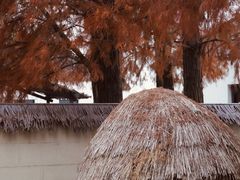 -同里国家湿地公园
