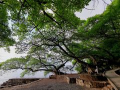 -抚仙湖禄充风景区