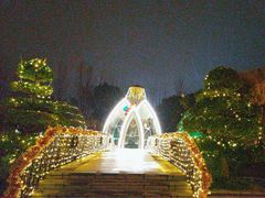 -上海东方佘山翰悦阁酒店·Vie全日制餐厅