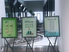 -上海市徐汇区口腔医院