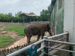 -西安秦岭野生动物园