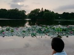 -新江湾城公园