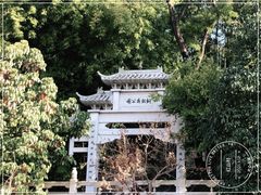 -红山村