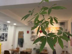 -唐咖精品咖啡(大理古城手冲店)