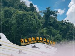 -西双版纳原始森林公园