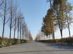 -嘉北郊野公园