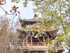 -西安青龙寺遗址景区