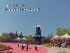 -上海鲜花港