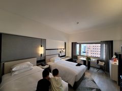 -新加坡乌节希尔顿酒店 (SG Clean)