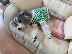 -Adore nail日式美甲美睫