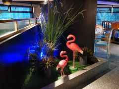 -嘎嘎鸭脑壳江湖菜(五里店)