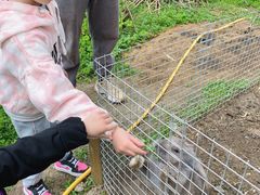 -美家乐农庄·露营·团建(大治路店)