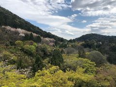 -有栖山 清光院 清水寺