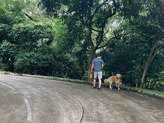-燕晗山郊野公园