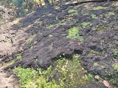 -海口火山口国家地质公园