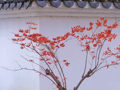 -北宫国家森林公园