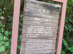 -浙西大峡谷