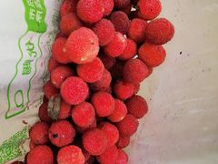 -马峦山郊野公园