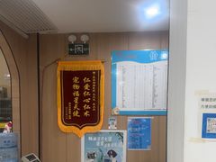 -米苏动物医院·犬猫专科·骨科外科内窥镜