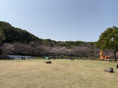 -苏州上方山国家森林公园