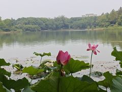 -江南大学(蠡湖校区)
