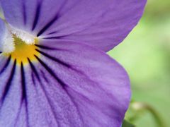 -广东茂名森林公园
