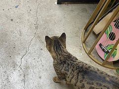 -100家灵感仓库·DIY团建(什刹海店)