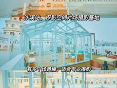-百万葵园