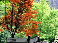 -刘伯温故里景区百丈漈