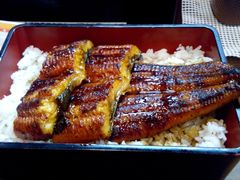 -名代宇奈备长炭烧鳗鱼居酒屋