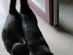 -刘家大院餐厅
