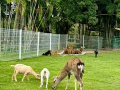 -东南花都花博园