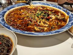 -新概念来凤鱼(璧山店)