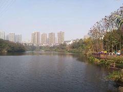 -重庆彩云湖湿地公园
