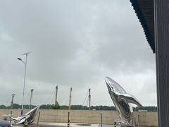 -大湾区中央湿地公园-十九涌